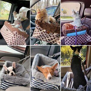 Car Seats for Small Dogs